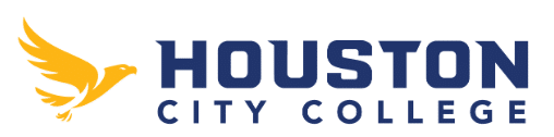 Houston City College